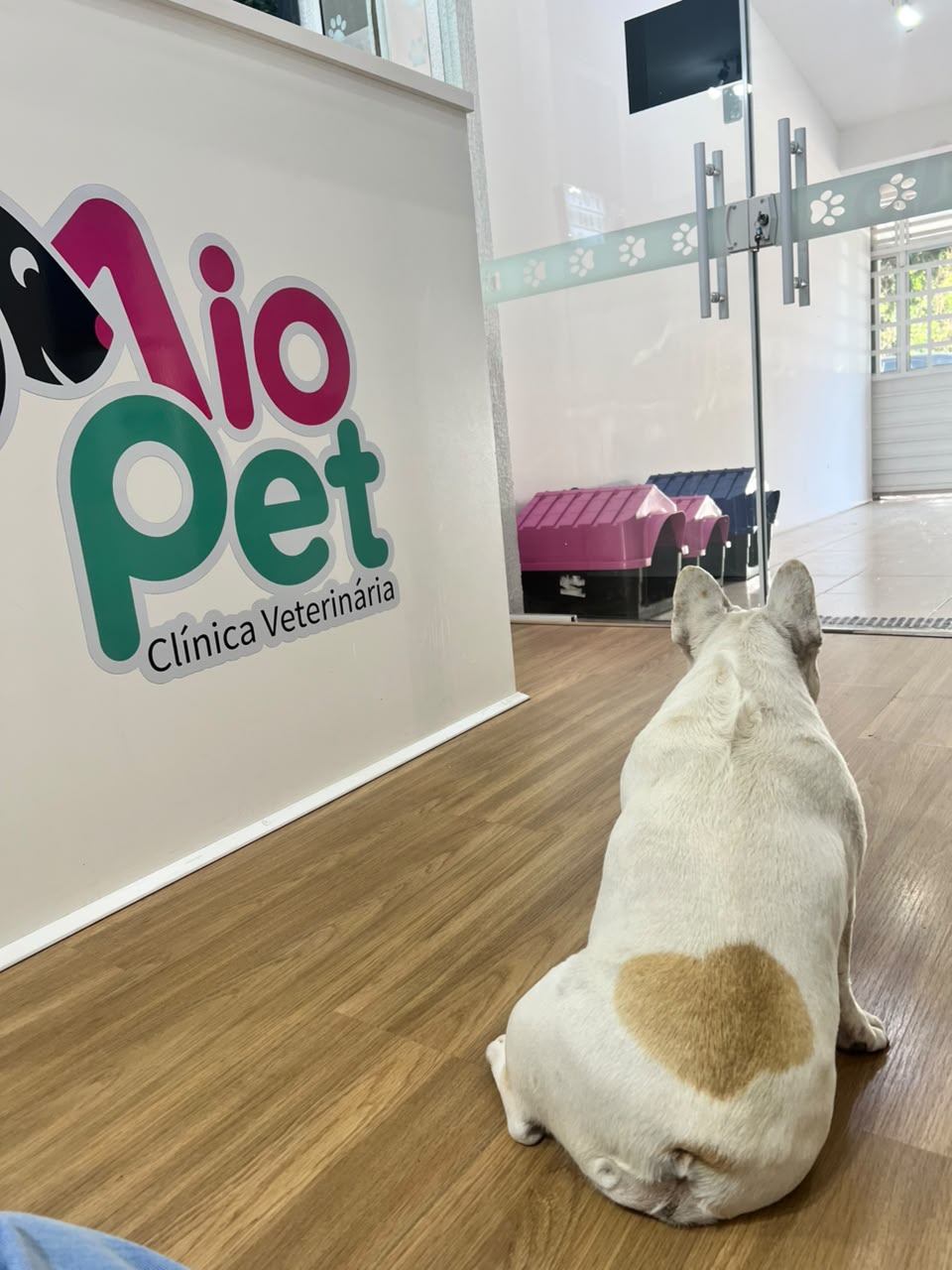 Fachada da MioPet Clínica Veterinária em Taubaté